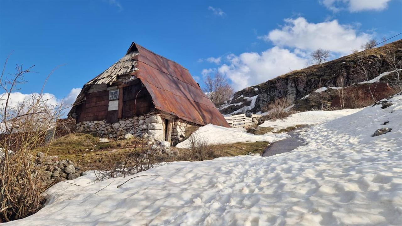 Winter Park Residence Bjelasnica Bagian luar foto